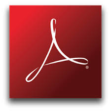 Adobe Acrobat Reader DC 2019.012.20040 Crack