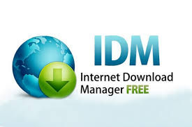 Internet Download Manager 6.37 Build 14 Crack
